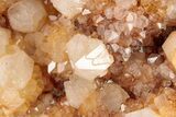 Sunshine Cactus Quartz Crystal Cluster - South Africa #191802-3